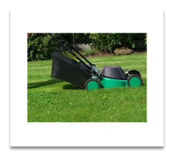 mower